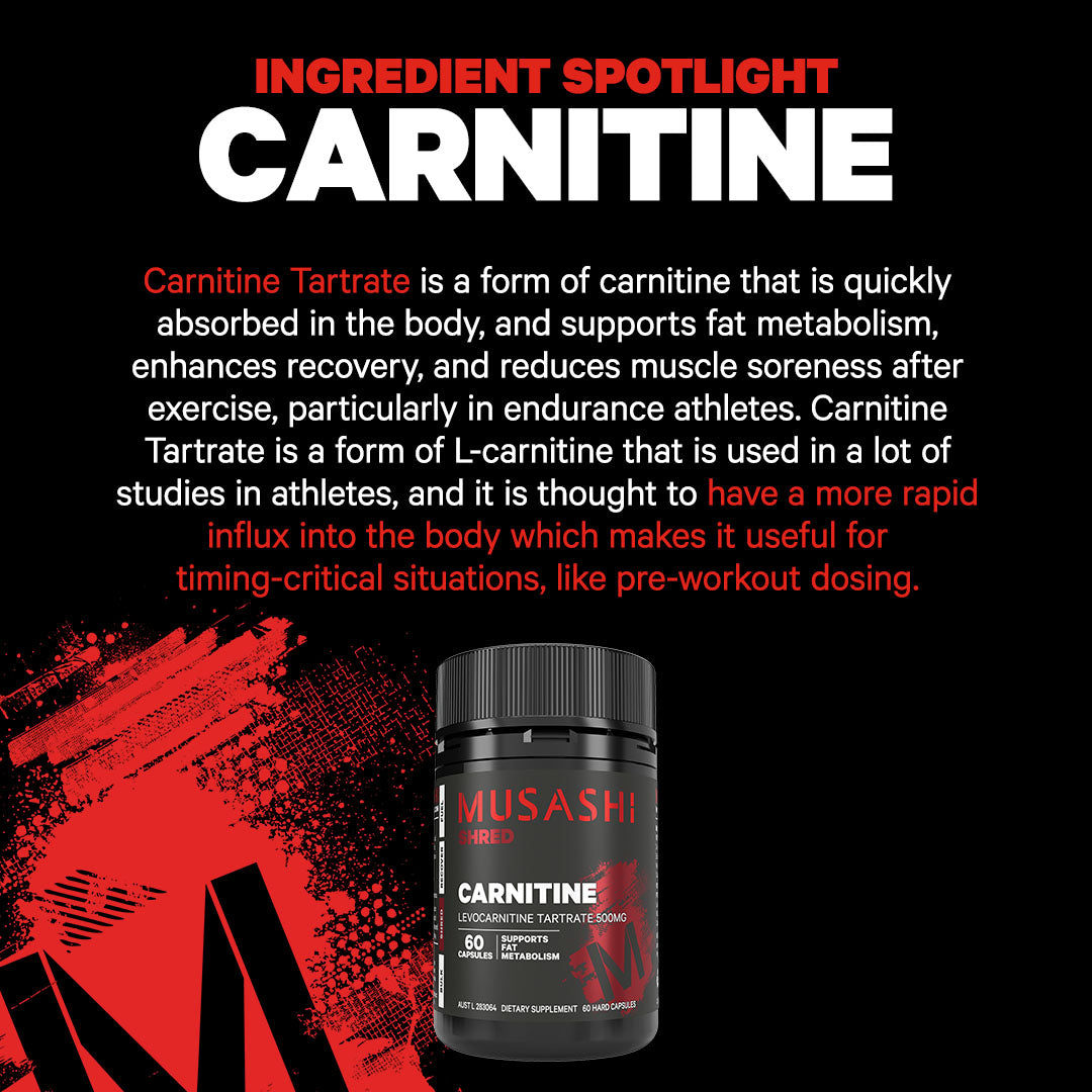 Musashi Capsules Carnitine 60 Capsules