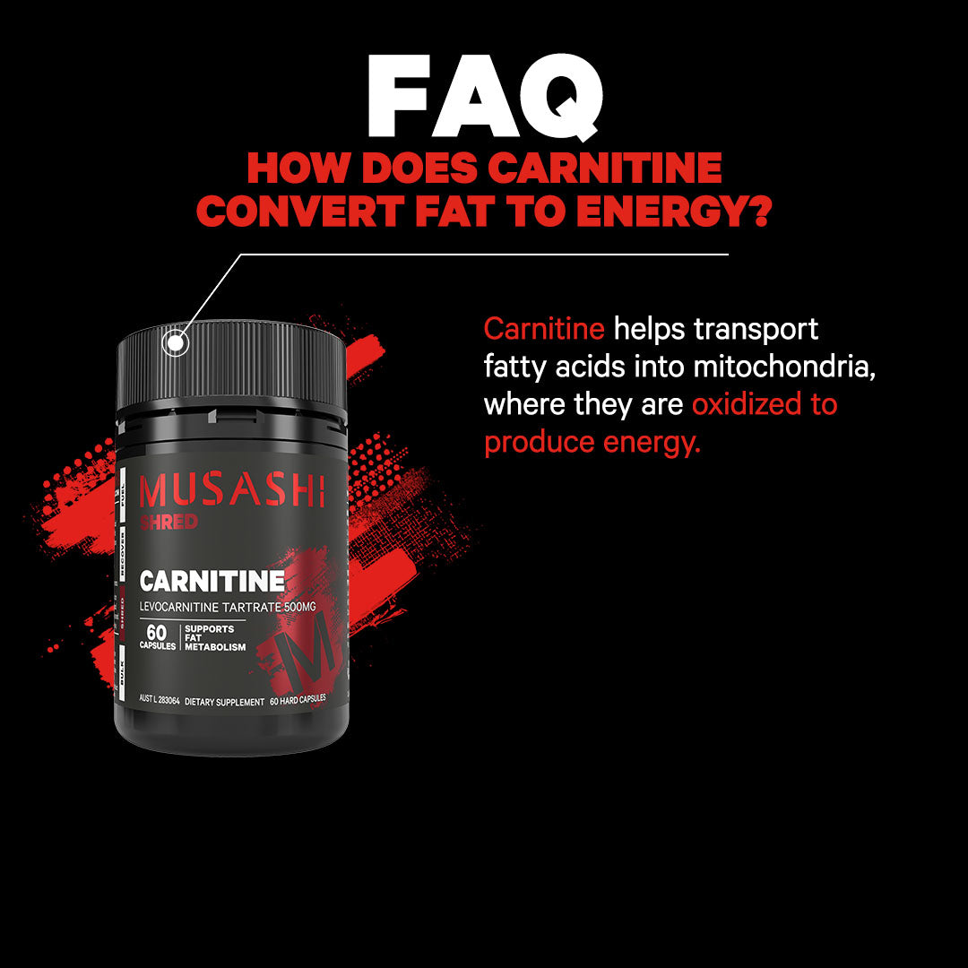 Musashi Capsules Carnitine 60 Capsules