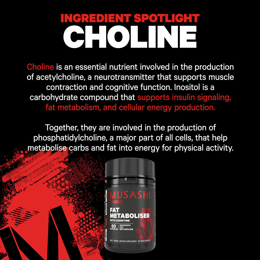 Musashi Capsules Fat Metaboliser with Carnitine 60 Capsules