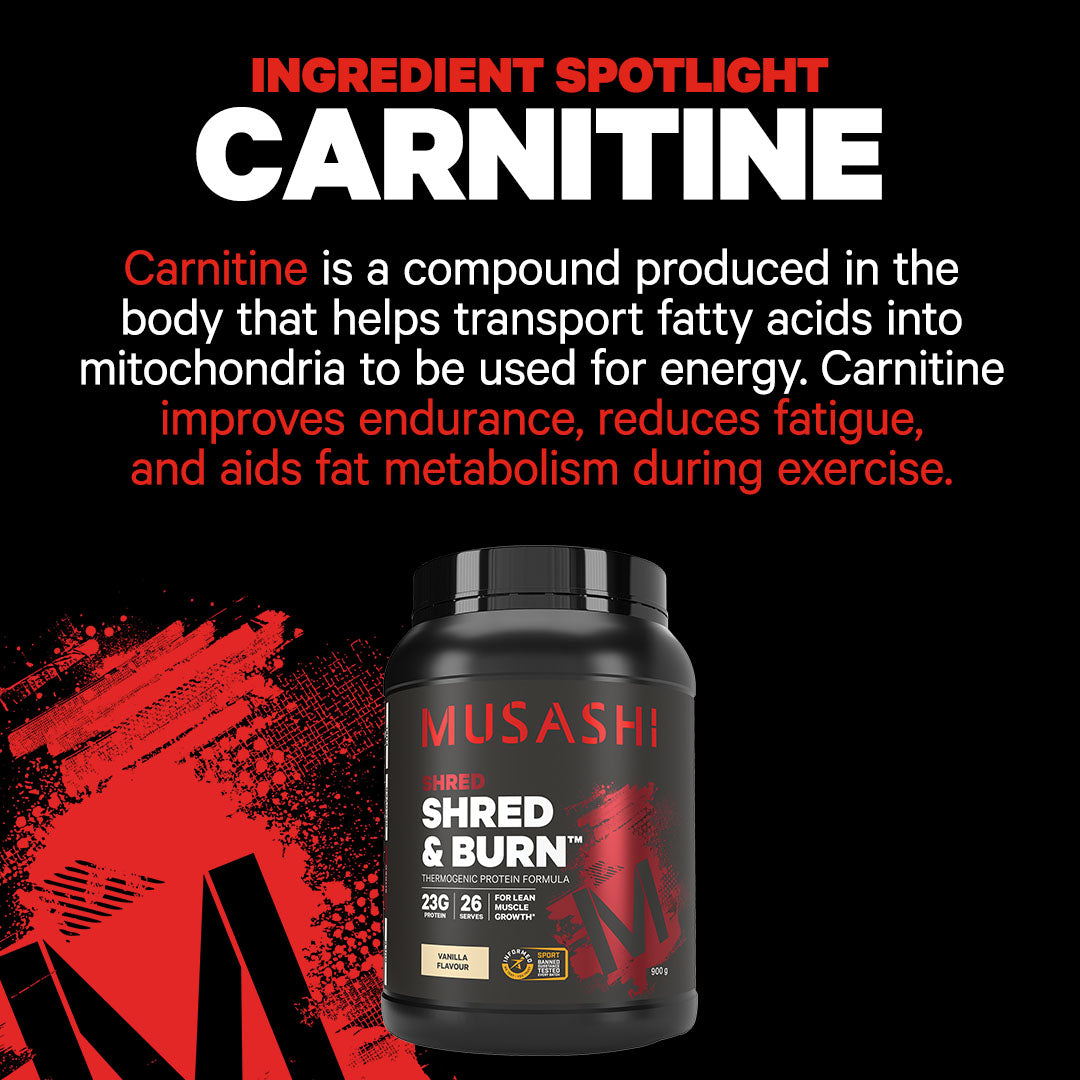 Musashi Protein Powder Shred & Burn Protein Powder